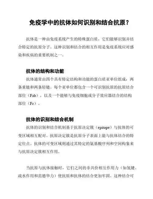 免疫学中的抗体如何识别和结合抗原？