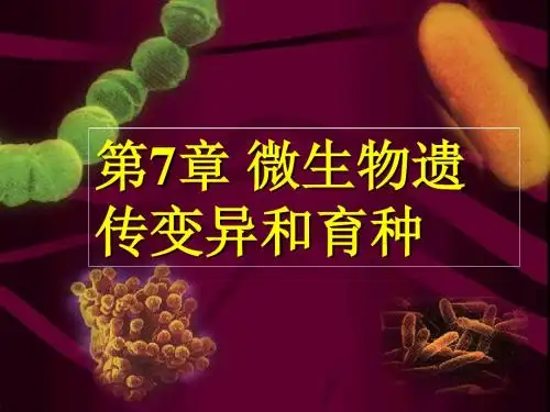 微生物课件第7章