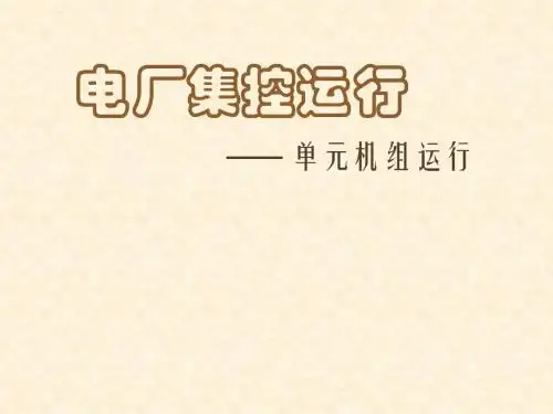 火电厂集控运行