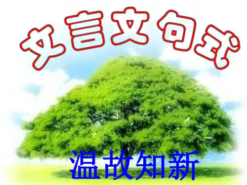 高中语文文言文特殊句式专题课件72张PPT