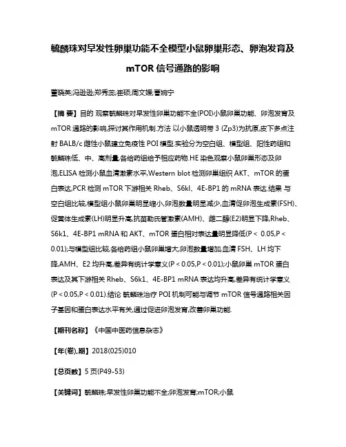 毓麟珠对早发性卵巢功能不全模型小鼠卵巢形态、卵泡发育及mTOR信号通路的影响