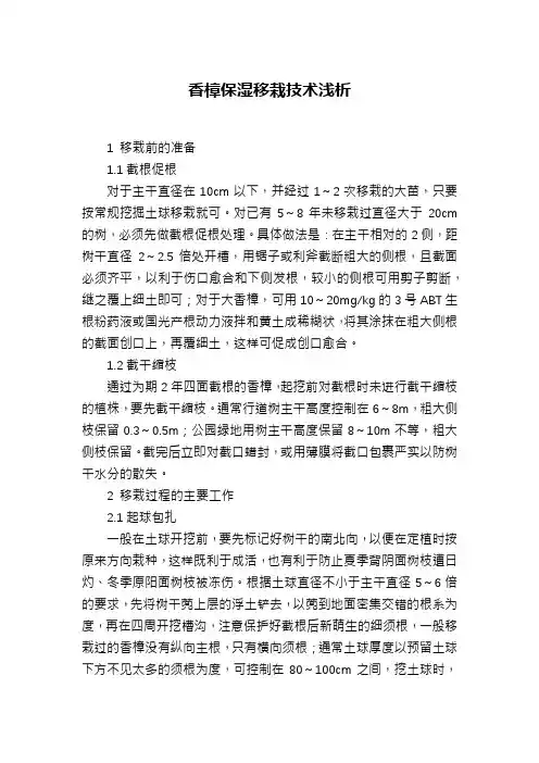 香樟保湿移栽技术浅析
