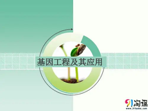 课件11：6.2 基因工程及其应用