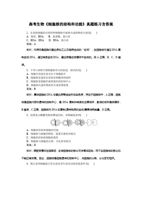 高考生物《细胞核的结构和功能》真题练习含答案