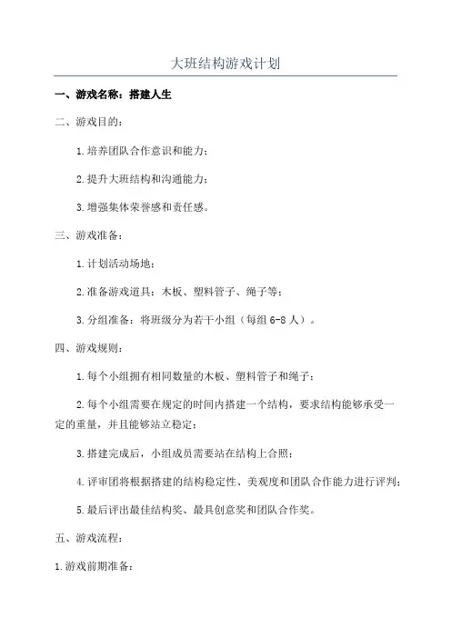 大班结构游戏计划