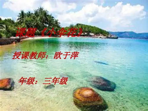 《小伞花》教学精品PPT课件