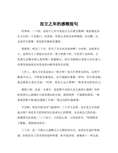 而立之年的感慨短句