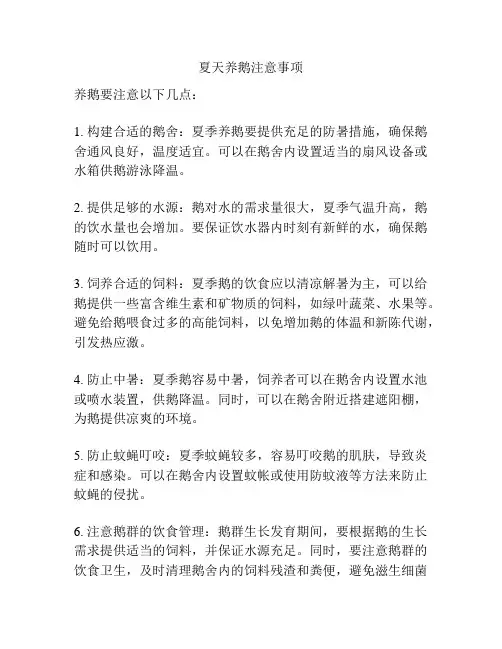 夏天养鹅注意事项