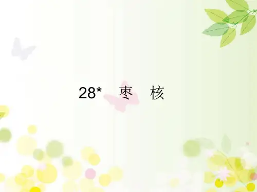 部编版三年级语文下册28 枣核课件(17张)