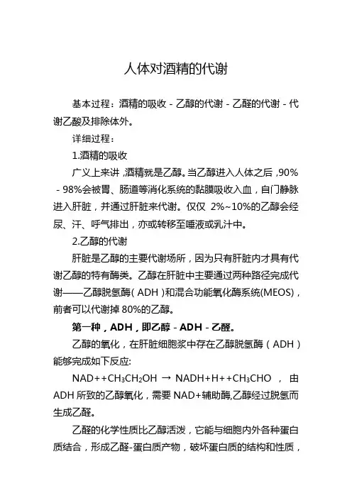 人体对酒精的代谢