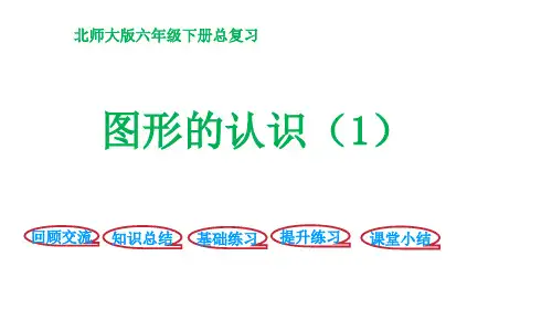 六年级下册数学课件-总复习 图形与几何 图形认识1∣北师大版(1秋) (共29张PPT)