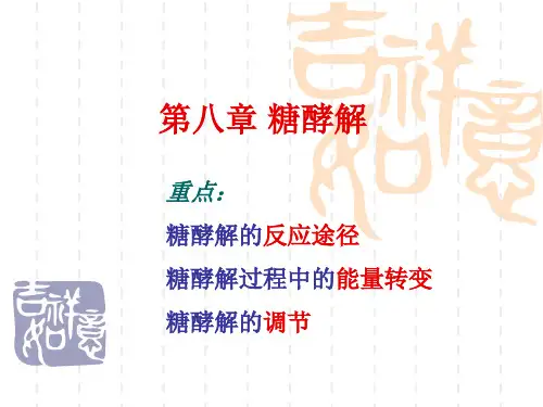 生物化学糖酵解课件ppt综述