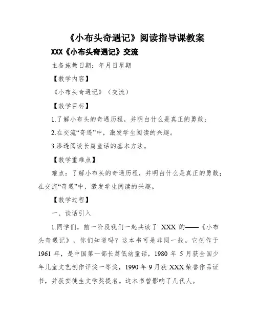 《小布头奇遇记》阅读指导课教案