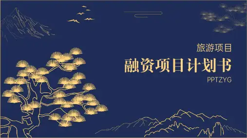 旅游项目融资计划书PPT