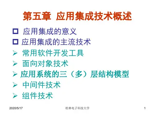 第五章 应用集成技术概述要点