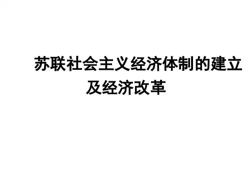 苏联社会主义建设道路的探索