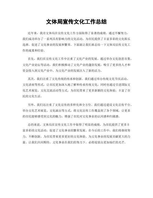 文体局宣传文化工作总结