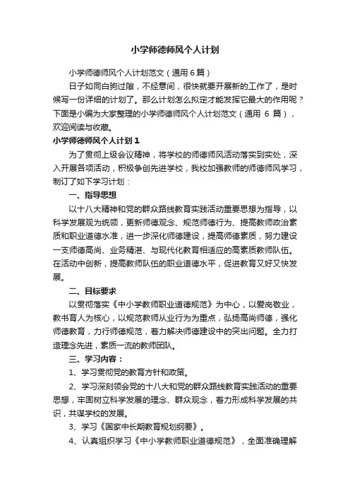 小学师德师风个人计划