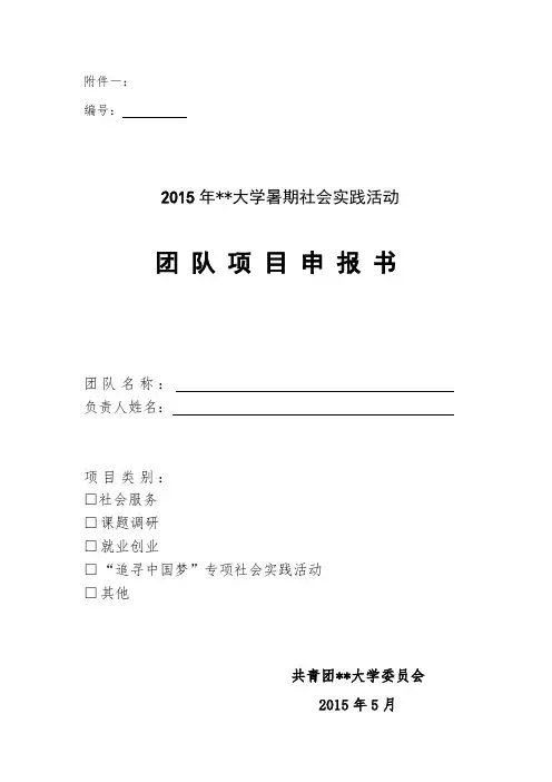 2015年XX大学暑期社会实践活动团队项目申报书【模板】