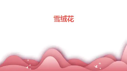 雪绒花ppt