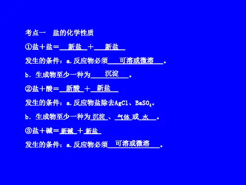 专题盐的化学性质和复分解反应精品PPT课件