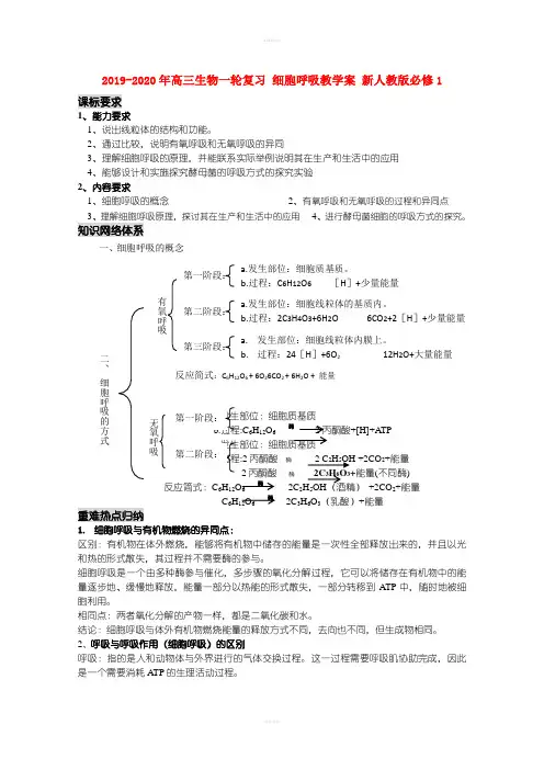 2019-2020年高三生物一轮复习 细胞呼吸教学案 新人教版必修1