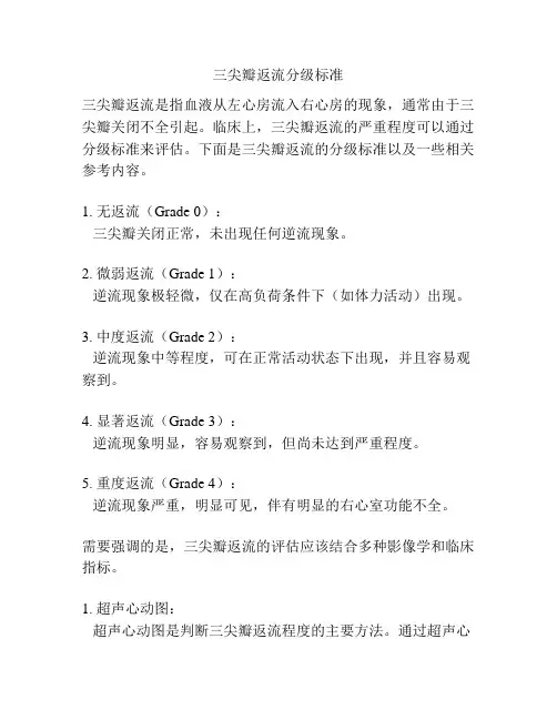 三尖瓣返流分级标准