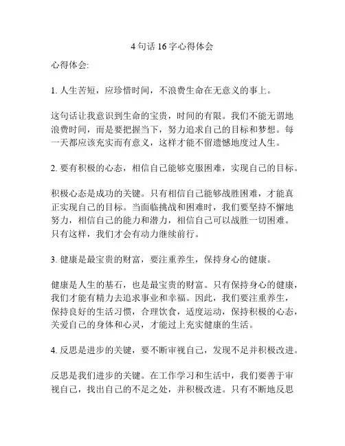 4句话16字心得体会