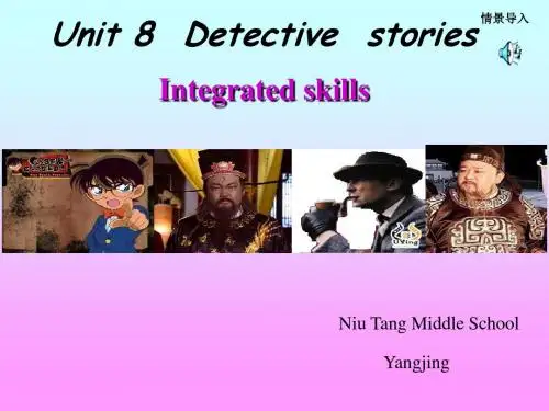 9a Unit 8 Integrated skills 公开课