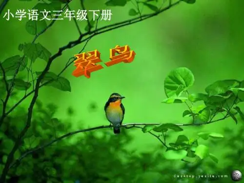 新人教版小学语文三年级下册《翠鸟》精品课件