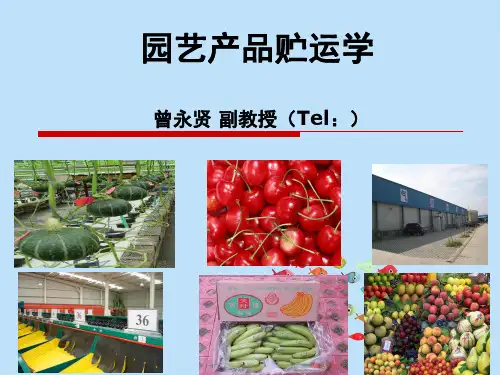 园艺产品贮运学课件绪论