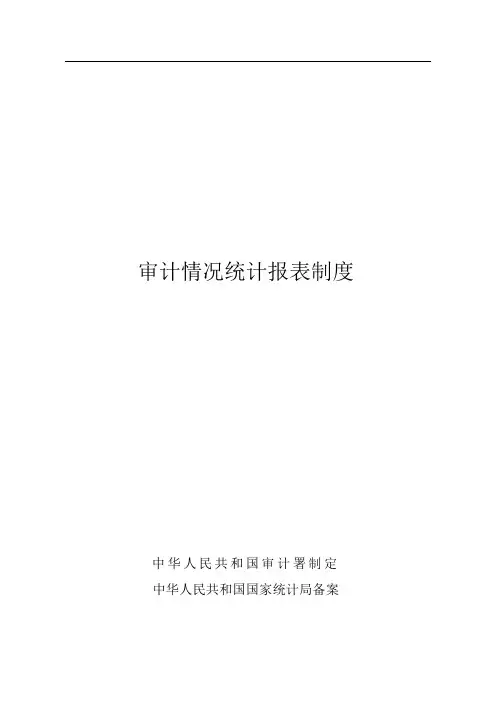 审计情况统计报表制度