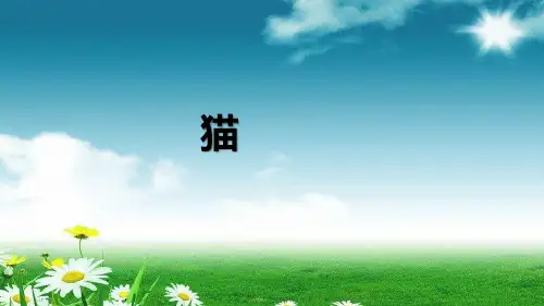 统编版四年级语文下册PPT课件第13课 猫  (共22张)