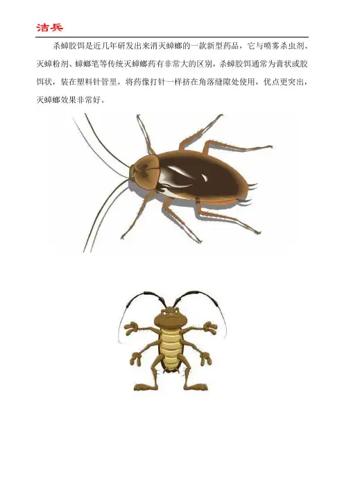 使用洁兵杀蟑胶饵蟑螂药灭蟑螂的方法
