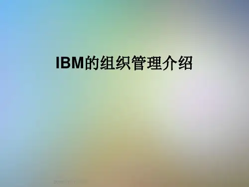 IBM的组织管理介绍