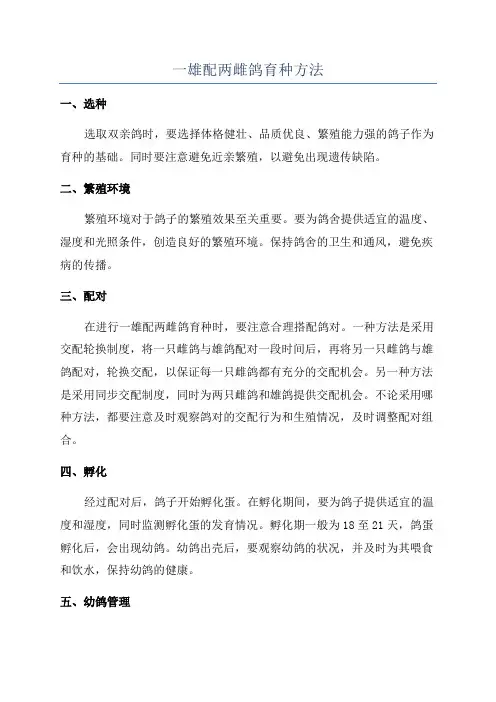 一雄配两雌鸽育种方法