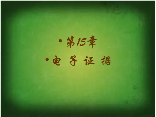 电子证据