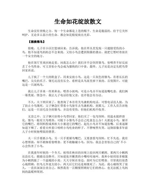生命如花绽放散文