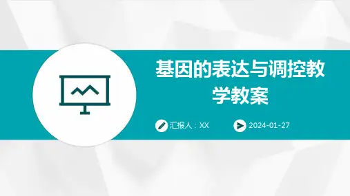 基因的表达与调控教学教案