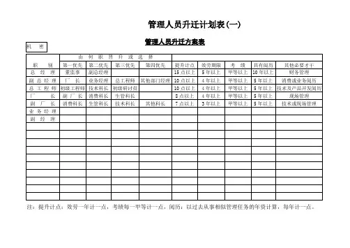 管理人员升迁计划表(一)