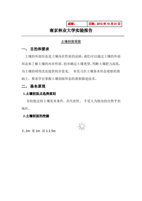(完整版)土壤剖面观察