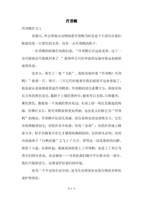 丹顶鹤精品文档