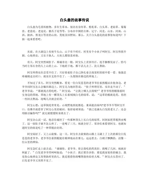 白头翁的故事传说