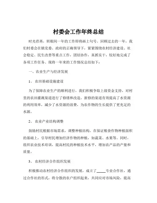 村委会工作年终总结