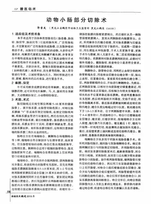 动物小肠部分切除术