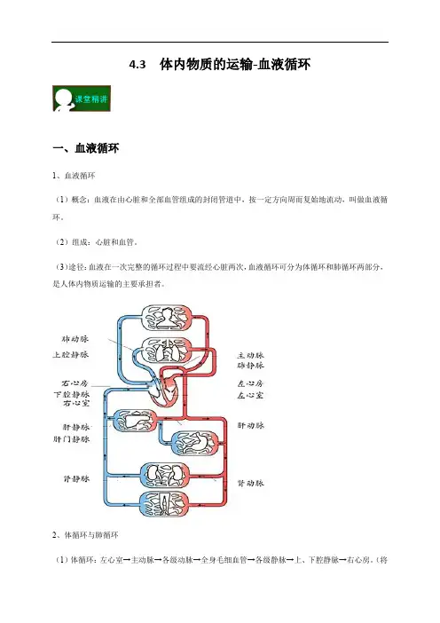 4.3  体内物质的运输-血液循环  —浙教版九年级科学上册学案