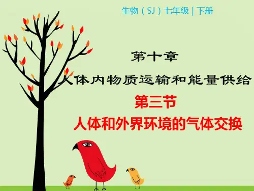 苏教版七下生物教学课件 第4单元 第十章人体内的物质运输和能量供给 第三节 人体和外界环境的气体交换