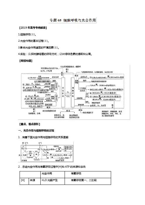 2019年高考生物提分秘籍：专题05-细胞呼吸与光合作用(教学案,含答案)