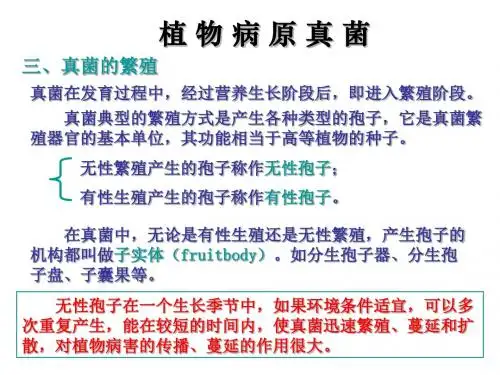 作物病原真菌第三部分.