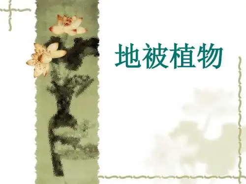 地被植物